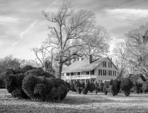 Wheeler House photographed by Marjorie Kaufman